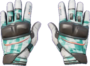 Moto Gloves Spearmint CS2 skin reference image