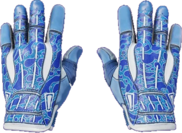 Sport Gloves Amphibious CS2 skin reference image